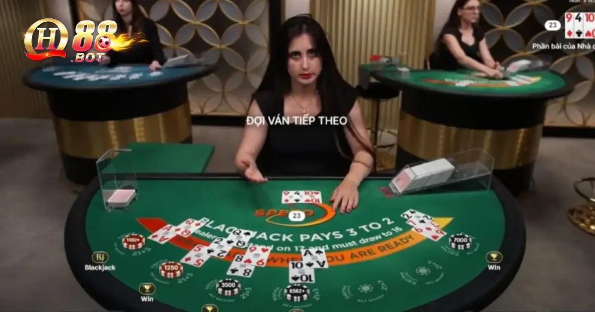 Các bộ bài và cách xếp hạng